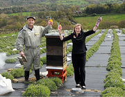 GroundTex Heavy Duty Weed Control Fabric Used By Finnis Black Bee Gin Company