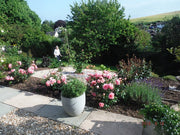 GroundTex Heavy Duty Fabric reduces the need to deal with weeks every year