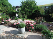 GroundTex Heavy Duty Fabric reduces the need to deal with weeks every year